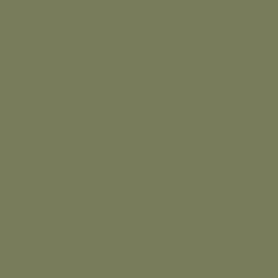 RAL-6013-olive.jpg